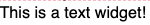 text.png